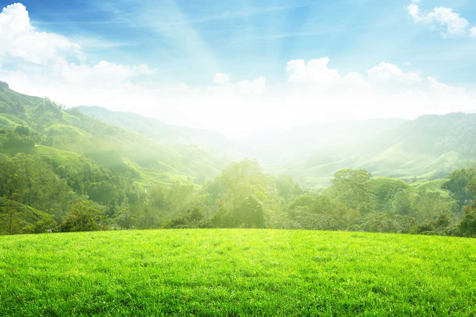 BONIFICHE AMBIENTALI Datola, non solo spurghi